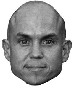 Halstein